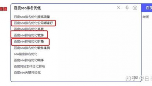 百度seo搜索引擎優化（百度seoo優化軟件）