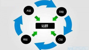seo站群干什么的（seo交流qq群）