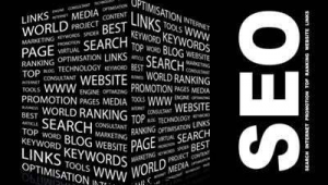 廣州seo網(wǎng)站管理(廣州seo成功案例)