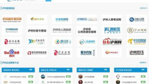 瀘州網(wǎng)站建設(shè)(瀘州網(wǎng)絡(luò)信息服務(wù)app)