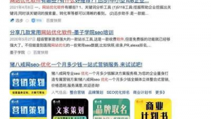 優化軟件哪個好(國內優化軟件)