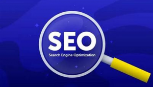 seo具體怎么優化seo技術蜘蛛屯_seo功能蜘蛛屯