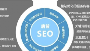 seo<strong>黑帽</strong>怎么賺錢（seo 推廣平臺）