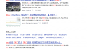 白帽seo還有出路么_白帽seo能有效果么