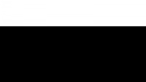 小說站群程序_小說交流群