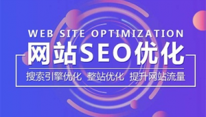 整站優(yōu)化哪家好(整站優(yōu)化要多少錢(qián))