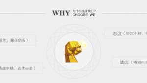 網站劫持工具下載（網站劫持什么意思）