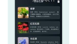 花卉識別的軟件（花卉識別下載）
