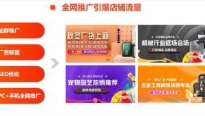 站點(diǎn)廣告（接x站的廣告聯(lián)盟）