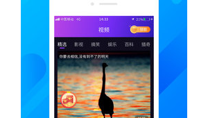 雛鳥app導航站（雛鳥短視頻app網址）