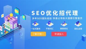 seo排名優化軟件哪個好（seo排名優化什么意思）