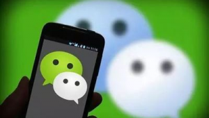 站群做了有什么用_做站群如何賺錢