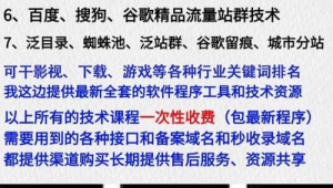 seo黑帽怎么賺錢(seo黑帽技術有哪些)