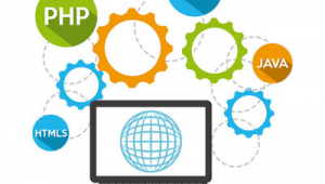 一個網(wǎng)站的開發(fā)流程(怎樣開發(fā)一個網(wǎng)站)