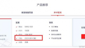 站群服務器 多c段