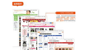 平山網站推廣 軟件