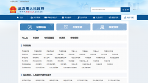 學校門戶網站是什么意思（高校網站群）