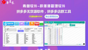 軟件項目課程網站排名(軟件項目講解)