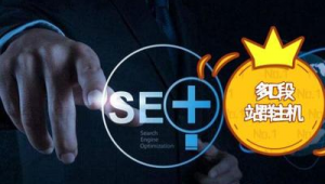 站群ip是不是獨享_站群ip和云服務器IP哪個用游戲好