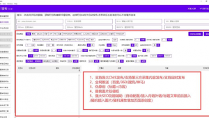 網站優化軟件哪個好(網站優化網)