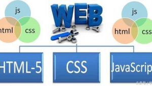 軟件怎么網站編程的(編程做網站)