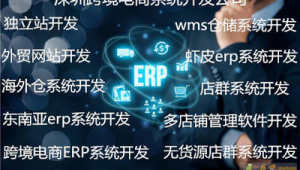 開發(fā)網(wǎng)站用什么軟件(網(wǎng)站開發(fā)用到哪些技術(shù))