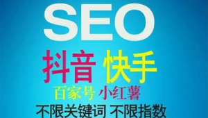 seo排名點擊 seo查詢(seo點擊排名算法)