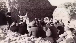 插隊會有什么后果（插隊系統）