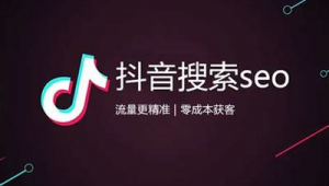 成都抖音seo軟件公司（抖音seo是指什么意思）