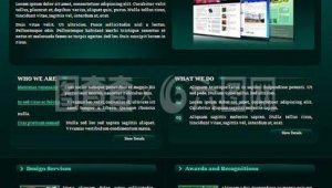 投影軟件哪個好用（網絡投影軟件）