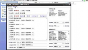 龍少泛解析站群程序