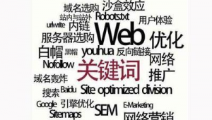 seo推廣軟件<strong>黑帽</strong>白帽區別（seo<strong>黑帽</strong>怎么賺錢）