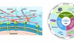 美術軟件下載網站有哪些(美術軟件推薦)