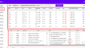 站群優(yōu)化是什么意思（站群項目）