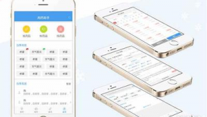 記賬網站源碼（自制記賬軟件）