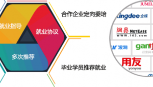 seo公司招聘(seo程序員招聘)