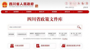 四川網(wǎng)站排名優(yōu)化師（四川網(wǎng)絡(luò)優(yōu)化項(xiàng)目）