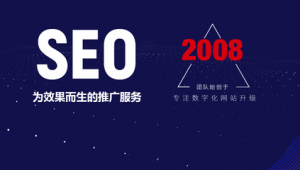 合肥網站優化搜索（合肥seo外包平臺）