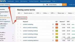 seo軟件下載(seo軟件排名)