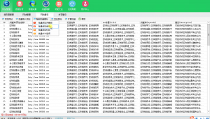 泛目錄最新軟件(泛目錄mip)