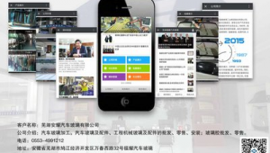 蕪湖網站制作公司(蕪湖十大網絡公司)