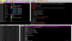 軟件脫殼定制網(wǎng)站有哪些（軟件脫殼定制網(wǎng)站是什么）