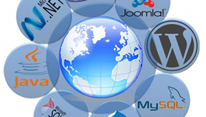 開發一個網站的步驟流程（怎樣開發一個網站）