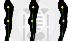 盤骨論斤（盤骨指的是哪個位置?）