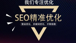 滄州網站優化公司（滄州網站seo公司）