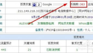 站群快速排名(手機(jī)站群排名)