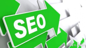 seo軟件怎么使用視頻教程(seo_ru)