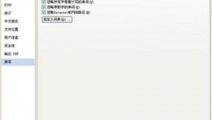 網站文字糾錯軟件哪個好(網站錯字檢查)