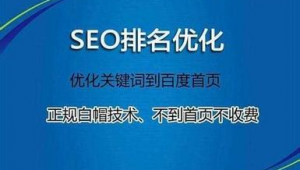 百度seoo優化軟件（百度推廣優化公司）