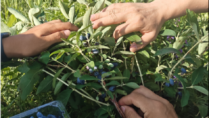 牙克石信息群(牙克石貼吧吧最新動態(tài))